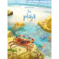 Pe plaja (Usborne), Usborne Books